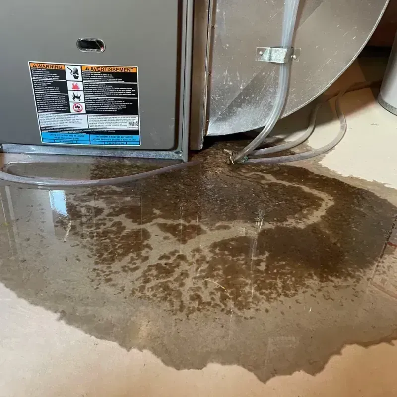 Appliance Leak Cleanup in Parsons, KS